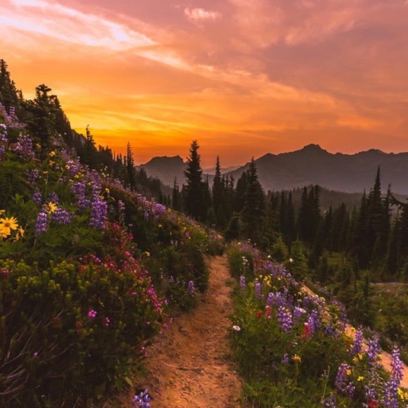 Meet your Posher, Valerie - Picture 1 of 1